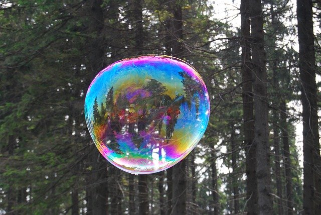 bublina v lese
