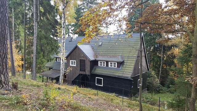 dřevěná chata v lese.jpg